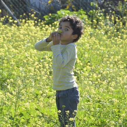 Op het erf - zelfvoorzienend willen leven in Spanje - off-grid of semi off-grid