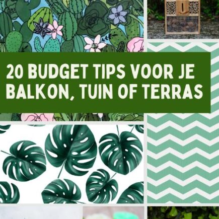 Budget Tips Tuin, Balkon, Terras of Patio