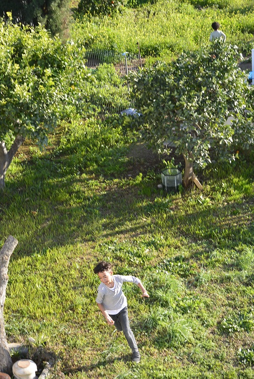backyard rennen