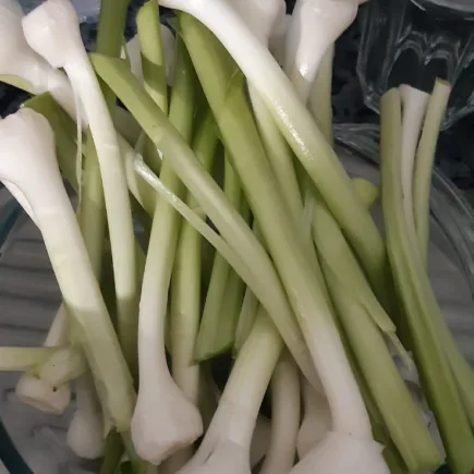 Bosui in Zuid-Spanje