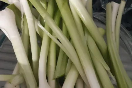 Bosui in Zuid-Spanje