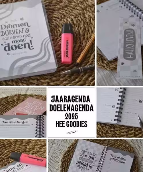 Jaaragenda DOELENAGENDA 2025 hee goodies LUNA FAMILIEPLANNER